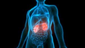 Urólogo experto en Cáncer de riñón, suelo pélvico, próstata, perdida de orina, impotencia, disfunción eréctil, curvatura peneana, prótesis de pene, engrosamiento peneano, hidrocele, frenillo, incontinencia urinaria, hiperplasia benigna de próstata, hbp, fimosis, cólico nefrítico